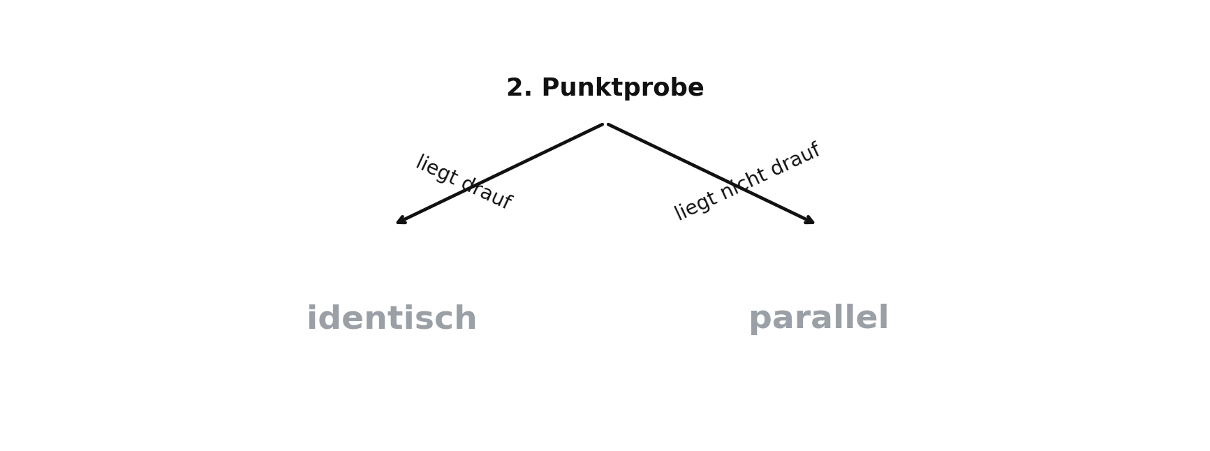 Entscheidungsdiagramm: Punktprobe (kollinearer Fall)